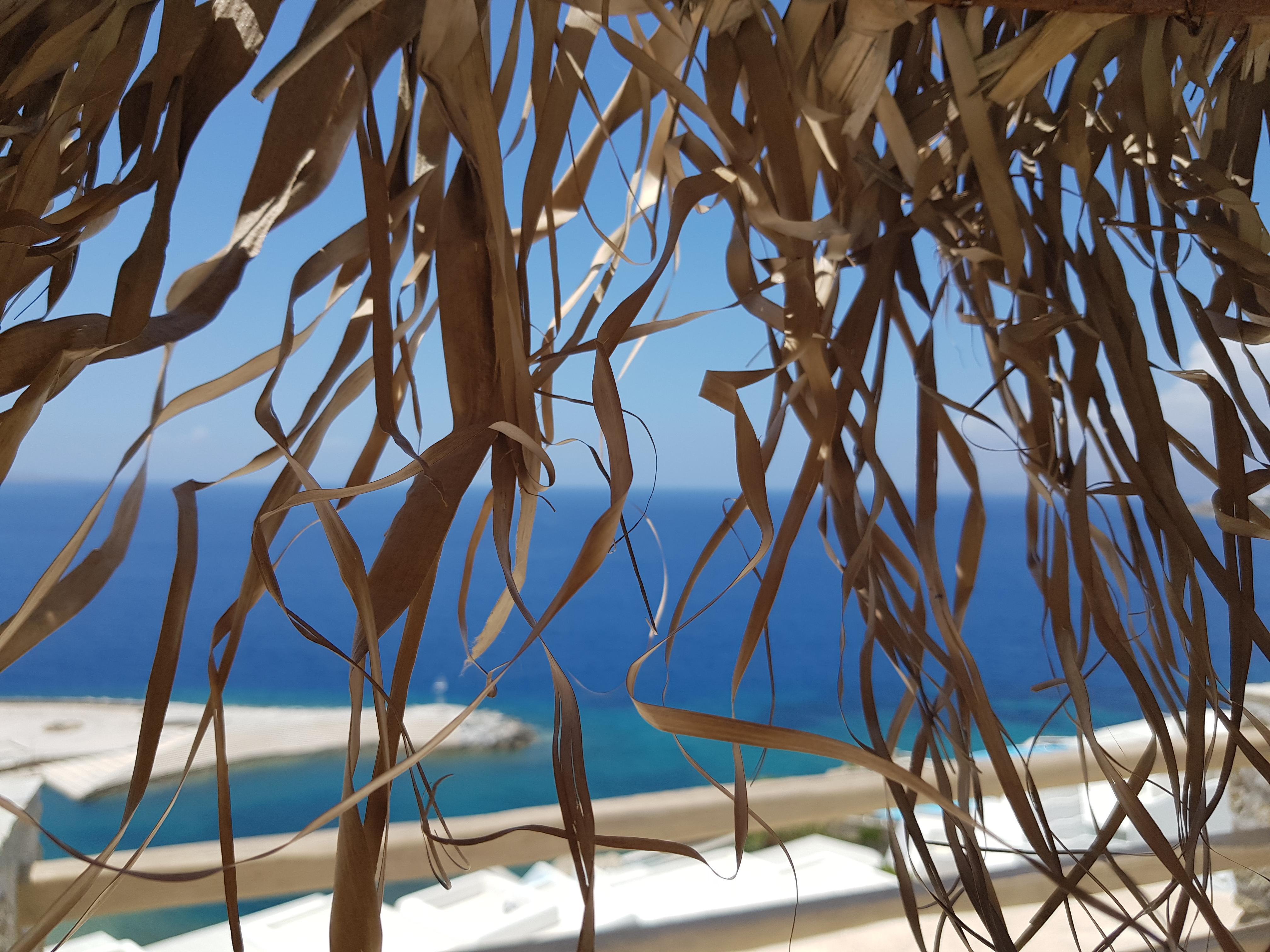 Gorgona Mykonos Town